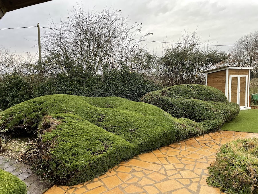 Paysagiste & entretien de jardin Toussieux 01600