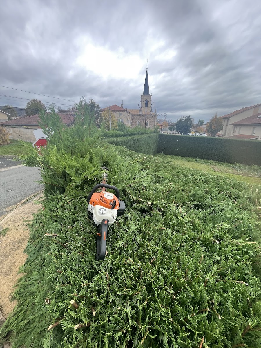 Paysagiste & entretien de jardin Toussieux 01600